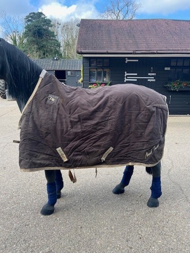 Mark todd mediumweight stable - todd,