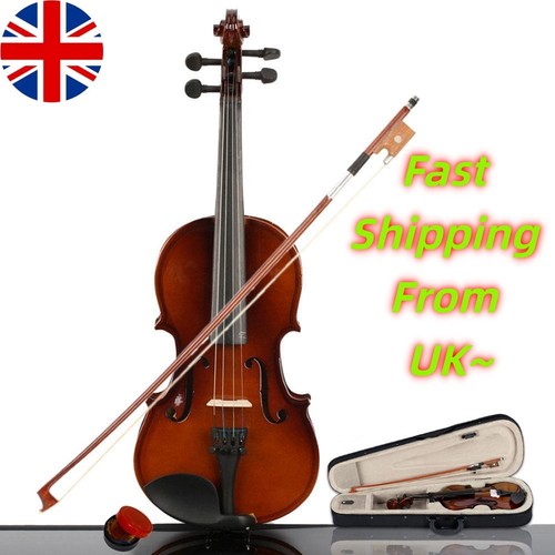 New size acoustic - new, violin