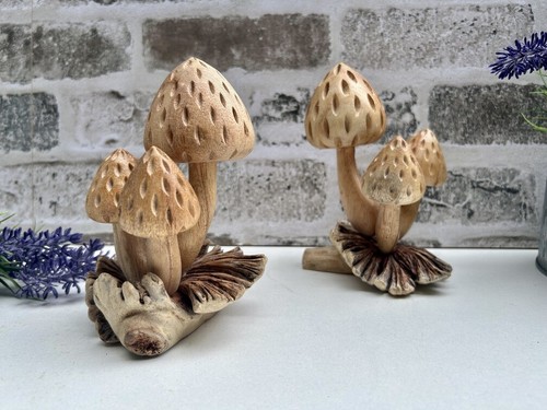 Strawberry mushrooms root - strawberry,