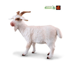 Billy goat white - billy,