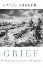 Grief by Shneer David (Louis P. Singer Chair In Jewish History An