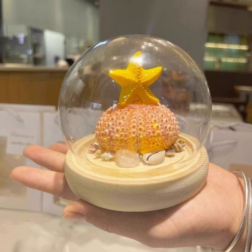 Diy sea urchin shell jellyfish - diy,