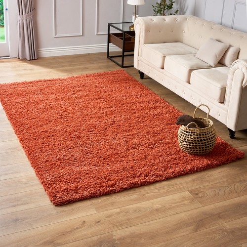 Shaggy rug 5cm deep - rug,