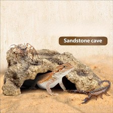 Reptile Rugged Sandstone