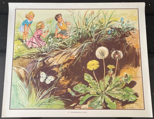 Vintage 1950s enid blyton - vintage,