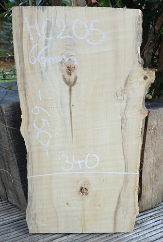 Spalted chestnut live - spalted,