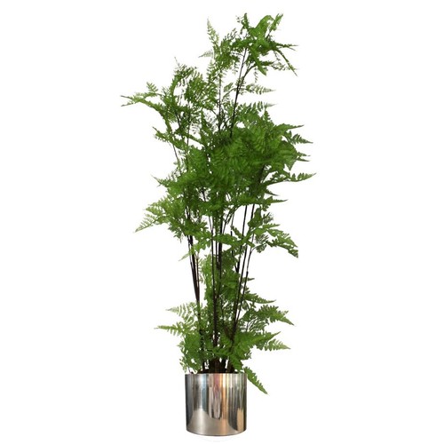 150cm artificial natural - natural, extra