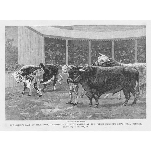 Shaw farm windsor sale - -, of