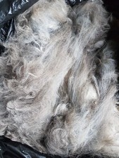 Alpaca Wool Fibre Fleece Bird