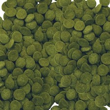 Aqueon algae rounds food for - algae,