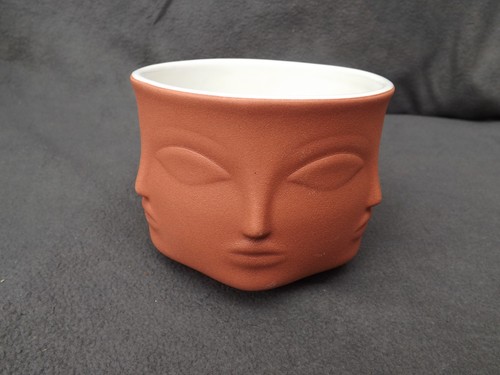 Terracotta faces plant - plant, pot