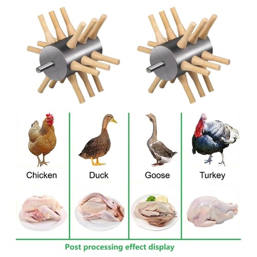 Stainless steel poultry - steel,
