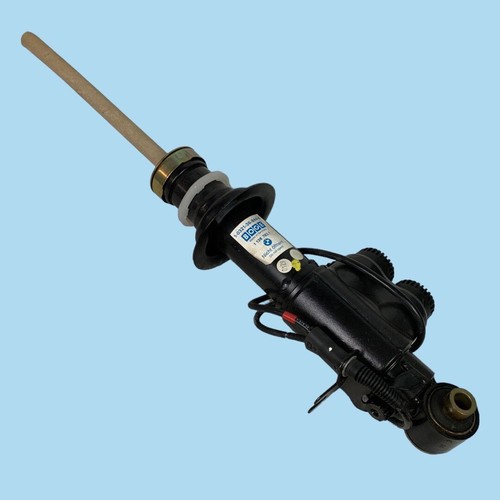 Rear left edc - rear,