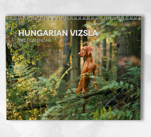 Hungarian vizsla calendar - hungarian,