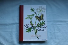 Stumpwork Embroidery, Moths