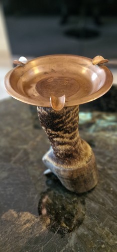 Antique curiosity zebra foot - zebra,