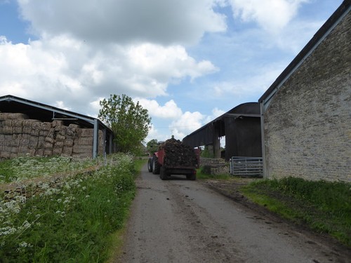 Photo 12x8 shifting - shifting, manure