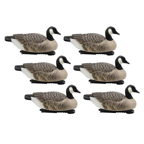 Canada goose floating decoys - decoys,