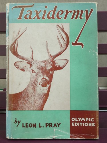 Taxidermy leon pray - taxidermy,