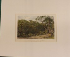 1880 HAND COLOURED ENGRAVING CASTLE EDEN HALL DURHAM 30cms by 24cm P267