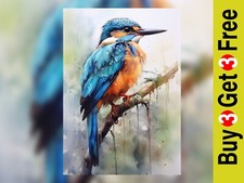 Vibrant Kingfisher Art Print -