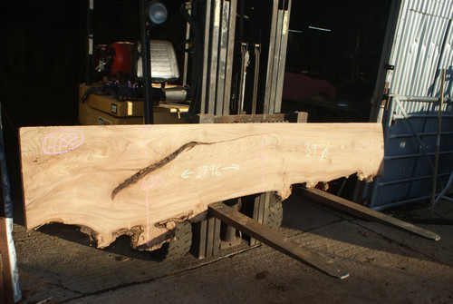 Elm slab 2796 650 - elm,