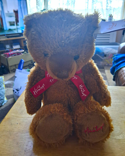 Hamleys plush teddy - hamleys,