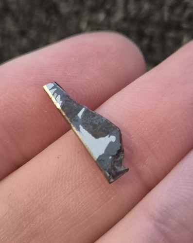 Seymchan pallasite pmg - pallasite,