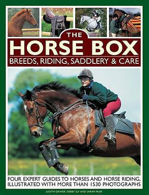 Horse box breeds - horse, riding