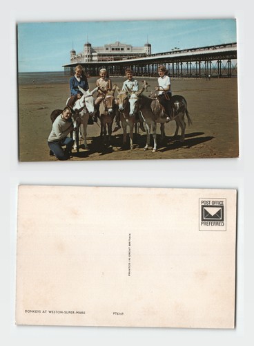 Postcard donkeys on beach - donkeys,