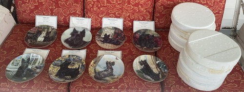 Vintage scottish terrier - vintage,