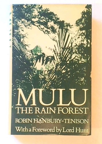 Mulu the rainforest robin - mulu,