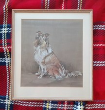  Collie Dog Pastel Painting Signed Sarah 92.