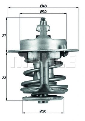 Thermostat coolant fits - thermostat,