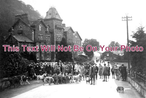 582 otterhounds - cu,
