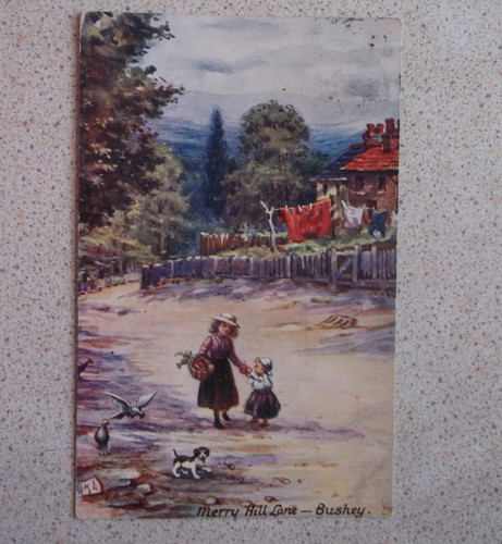 Merry hill lane bushey - hill,