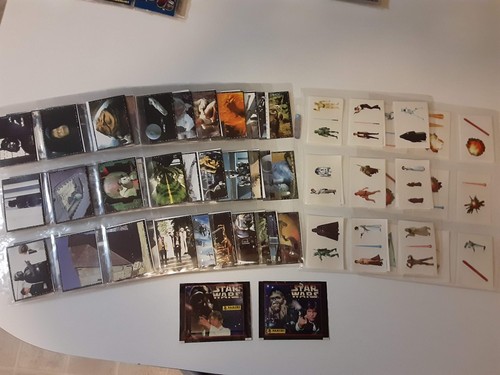 Panini 1996 star - panini,