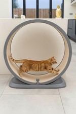 Large Cat Exercise Wheel