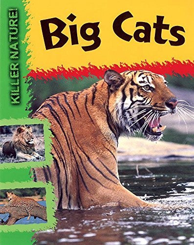 Big cats - cats, nature)