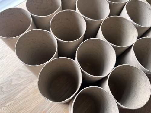 Brown toilet roll tubes - toilet,