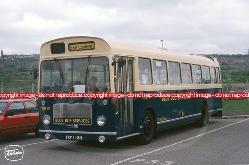 Bus photo busways blue - bus,