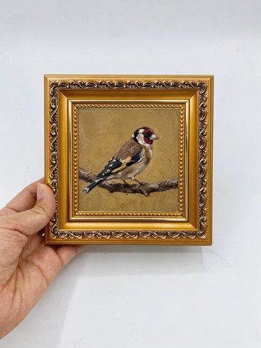 Goldfinch bird branch - bird,