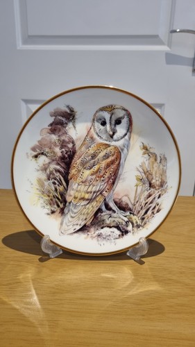 Aynsley bone china barn owl - 'barn, owl'