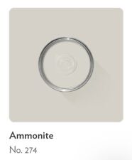 FARROW & BALL PAINT  SAMPLE 10ML - AMMONITE # 274