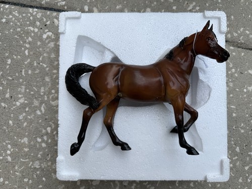 Rare black horse ranch - horse,