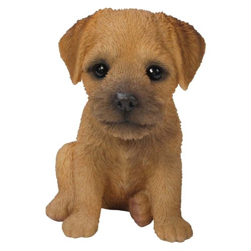 Vivid arts pet pal - pal, border