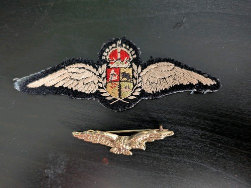 Original ww2 saaf raf pilot - ww2,