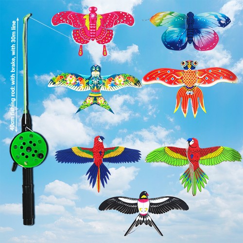 Kite flying - kite, toy