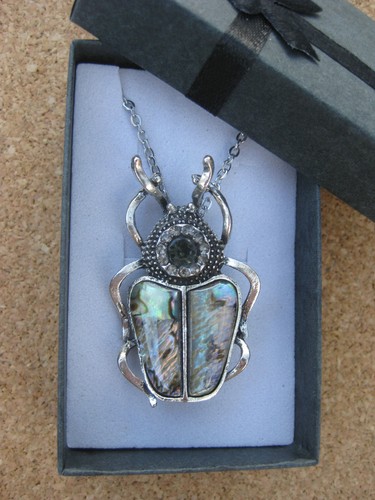 Gift boxed paua - gift, boxed,