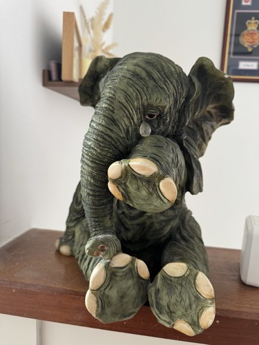 Sitting crying elephant - sitting,